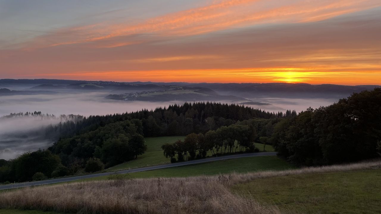 Ausblick vom Malberg Ausblick vom Malberg